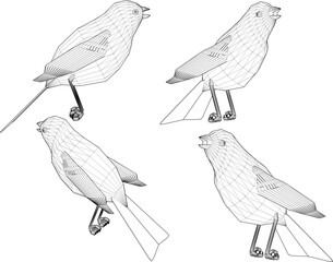 Vector sketch illustration silhouette design image of pet bird animal with wide wings