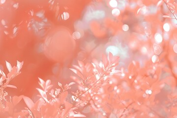 2024 color of the year backdrop with peach fuzz blur and white bokeh lights