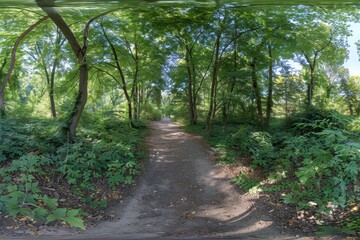 360 degree HDRI panorama of cycling and walking path in forest ready for VR and AR