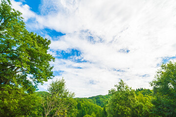 Obraz premium 青空と曇り空が不自然に混ざり合う、台風が近づく日の空模様 