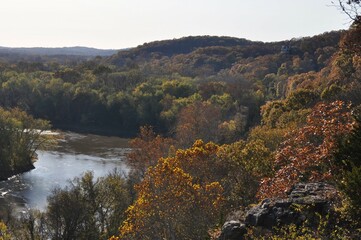 autumn in the forest along a river