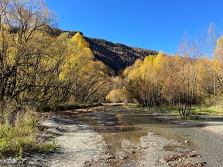 Arrowtown, South Island of New Zealand