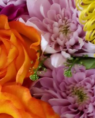 Flowers Flowers Flowers 