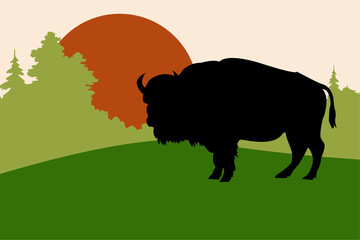 The silhouette of a bison against the background of the forest and sunset or sunrise.