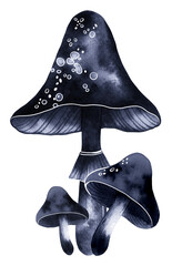 Poisonous forest mushroom for dark witch magic. Dark Witch Magic Crystals Set. Watercolour, ink texture and digital art. 