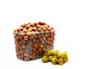 fresh hazelnuts in a plastic transparent container