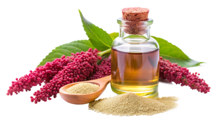 Amaranth oil for cosmetics isolated on white background as transparent. PNG