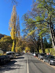 Arrowtown, South Island of New Zealand