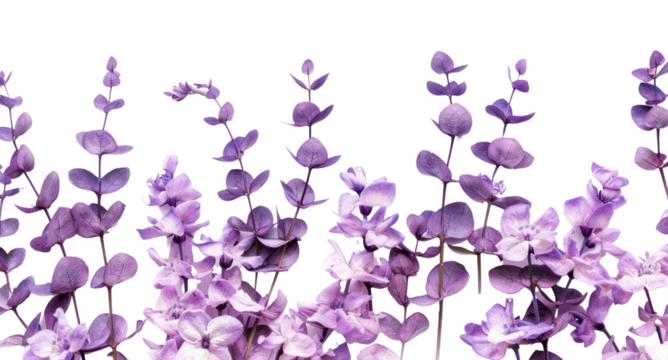 PNG Purple floral arrangement on white