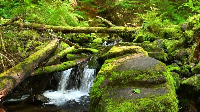 Waterfall Near Wallace, Idaho, on the Pulaski Tunnel Trail.