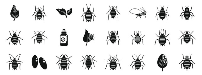 Aphid icons set. Aphid icons set. Simple set of aphid vector icons for web design on white background