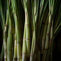 Fototapeta premium Vertical arrangement of bamboo stems, exhibiting their tall, green, smooth surface and natural alignment, reflecting strength and growth.