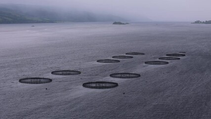 Aerial view over fish farm on a large loch in Scotland. Seafood business. Agriculture and environmental concept