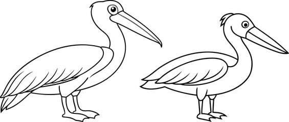pelican line art vector illustration 