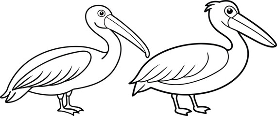 pelican line art vector illustration 