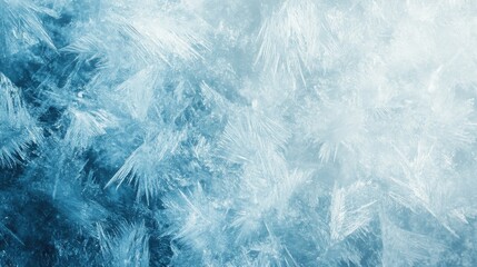 Obraz premium A cool-toned abstract background with icy blue and white tones, resembling frozen textures, ideal for winter or cold-themed designs.