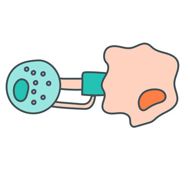 Cytotoxic illustration