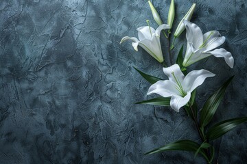 white lilies flower