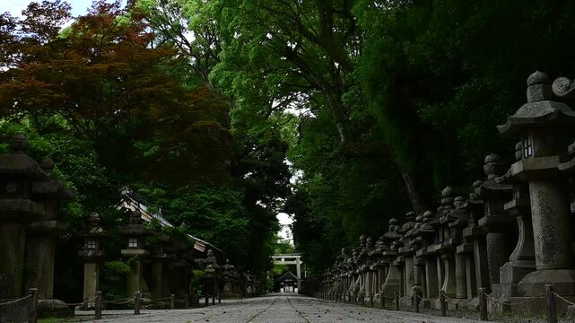 初夏の石清水八幡宮 （京都府八幡市, 2024年6月）