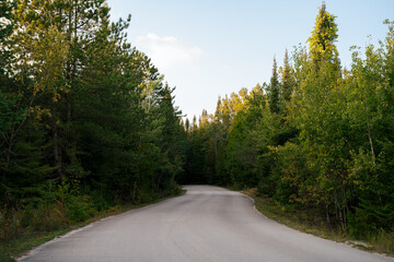 road in the woods