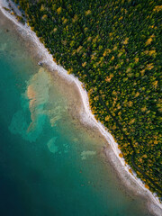 Bird's Eye View of a Lake and Trees