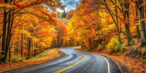 Fototapeta premium A scenic road winding through a picturesque autumn forest , fall, foliage, trees, woods, pathway, colorful, nature, landscape