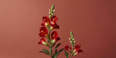 Fototapeta premium an aesthetic red background