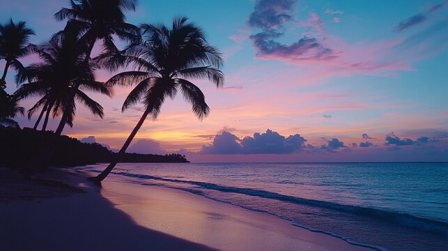 Evening beach with palm trees silhouetted against a colorful sunset sky, reflecting a relaxing and picturesque summer evening. Captured with a Nikon Z6 II for vivid details.

