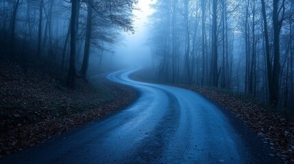 Naklejka premium Serene road through a foggy forest, monochromatic, high contrast, moody atmosphere, mystical allure