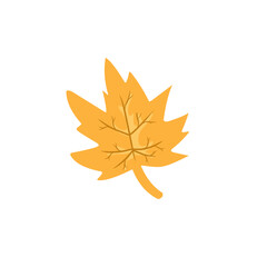 autumn leaf illustration