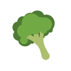 Broccoli isolated on white background. Vector illustration, suitable for children's books
