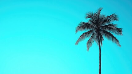 A palm tree outline in black, set against a vibrant blue sky, with clean, sharp lines.
