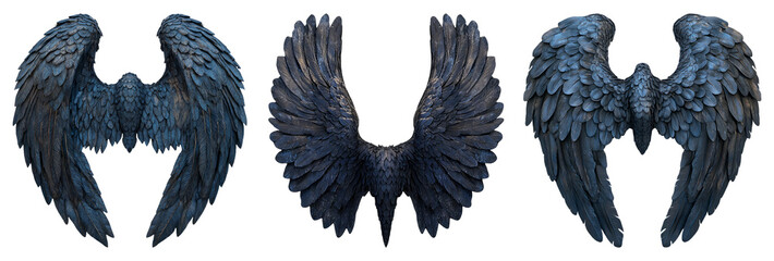 Dark feathered wings in various poses isolated on transparent background
