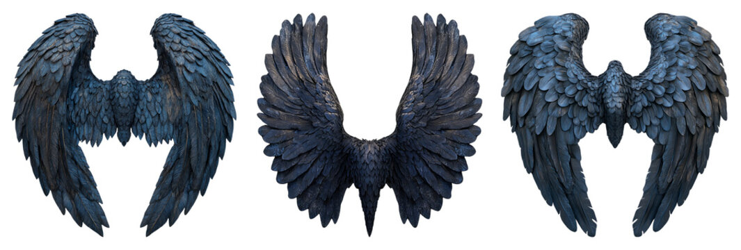 Dark feathered wings in various poses isolated on transparent background