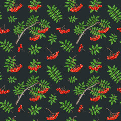 Obraz premium Rowanberry tree elements seamless pattern. Watercolor painted vintage style illustration. Hand drawn natural rowan red ripe berries, leaf elements seamless pattern design on dark background