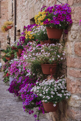 Naklejka premium Pots of plants hanging on the side of a brick wall.