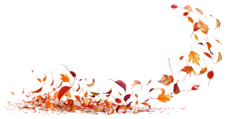 PNG Autumn leaves swirling gracefully
