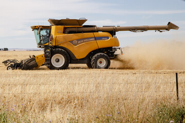 Obraz premium combine harvester in field massey ferguson