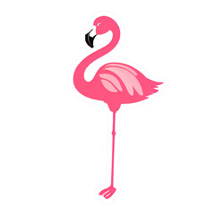 Fototapeta premium Bird