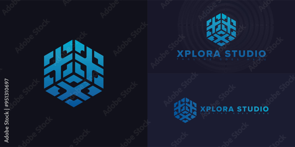 Poster modern hexagon vector initial letter xs or sx in blue color isolated on multiple background colors. 