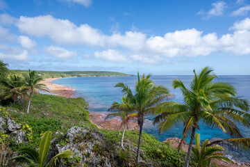 The tropical shoreline on the South Pacific island of Niue