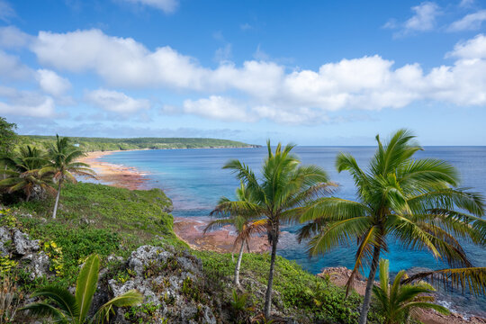 The tropical shoreline on the South Pacific island of Niue