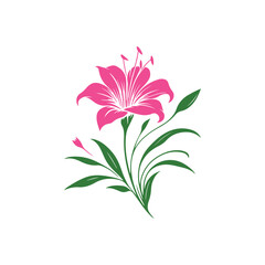 Obraz premium pink flower isolated on white