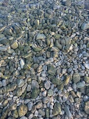 pebbles on the beach
