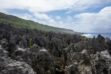 The rocky clifftop walk down to Togo chasm in the South Pacific island of Niue