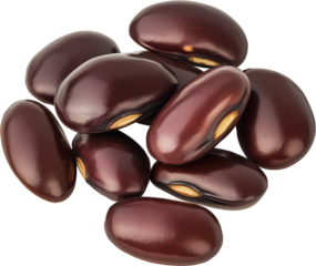 Velvet bean vegetable isolated, Tropical Legume Clipart - few Velvet Bean seeds illustration