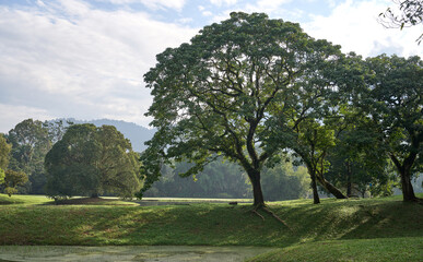 Beautiful tropical garden with lakes.