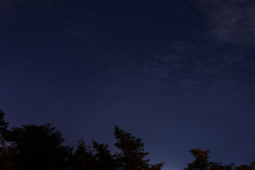 Fototapeta premium Starry sky in the night park.