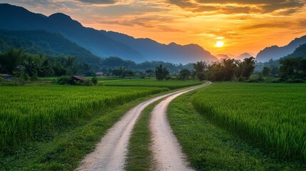Sunset over dirt road and green fields, Mai Chau.