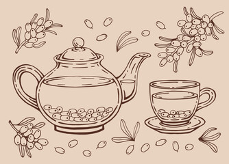 Tea set with glass teapot and cup, sea buckthorn. Hand drawn vector illustration in outline style.